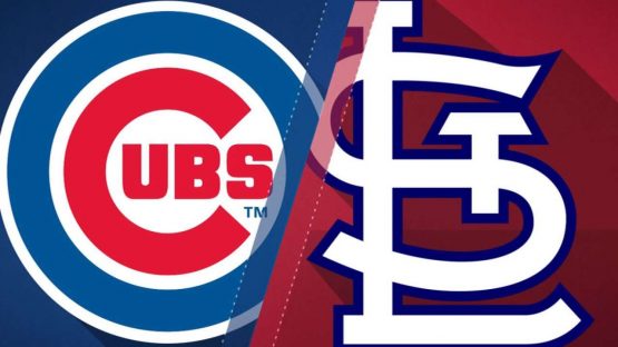 CUBS CARDS