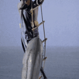 giphy (1)