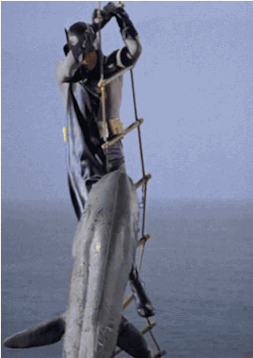 giphy (1)