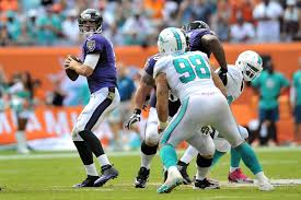 joevsdolphins