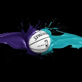 nba-charlotte-hornets-ball-spalding-B1LY-850x575-MM-78