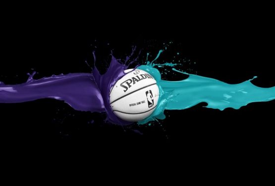 nba-charlotte-hornets-ball-spalding-B1LY-850x575-MM-78