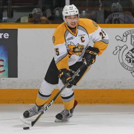 Sarnia Sting v Peterborough Petes