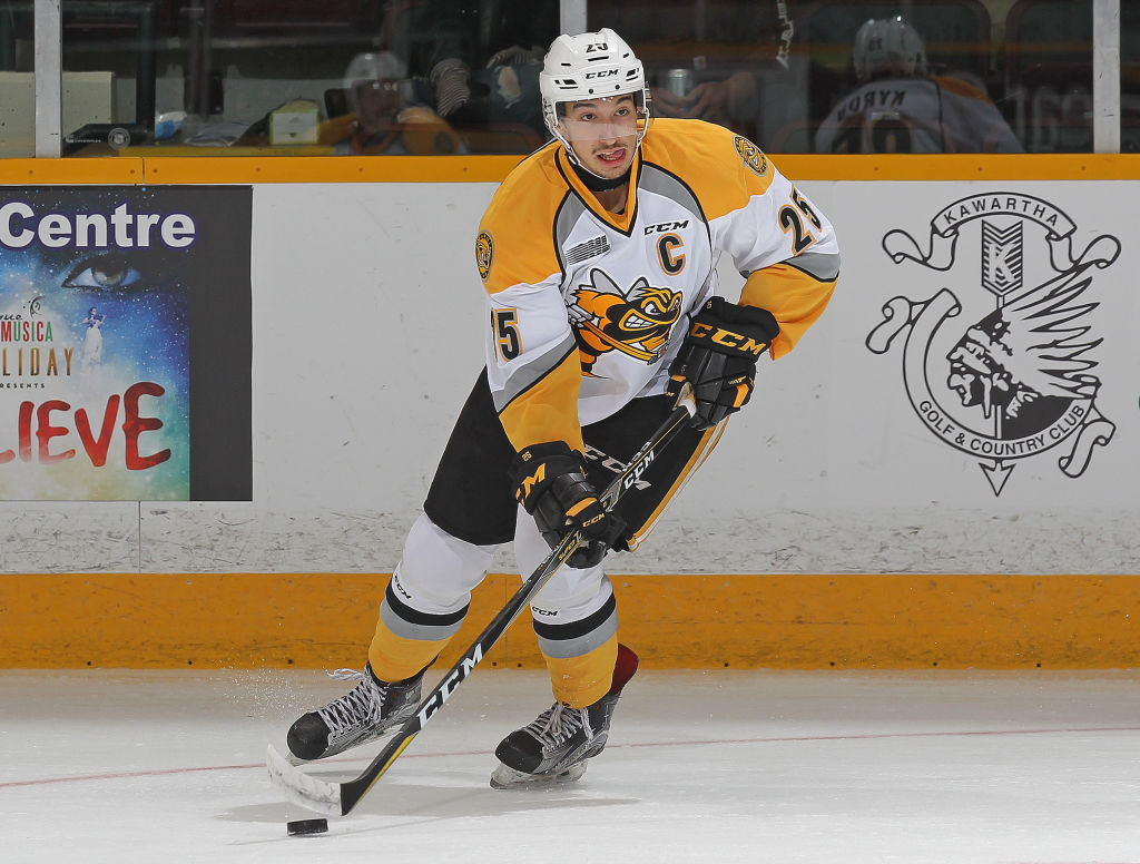 Sarnia Sting v Peterborough Petes