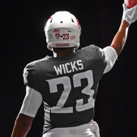 wicksback