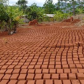 bricks