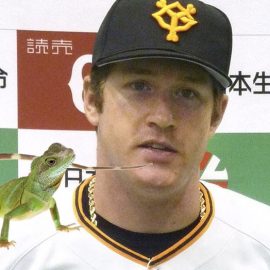 LIZARD