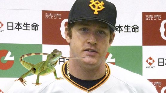 LIZARD