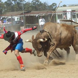 rodeoclown
