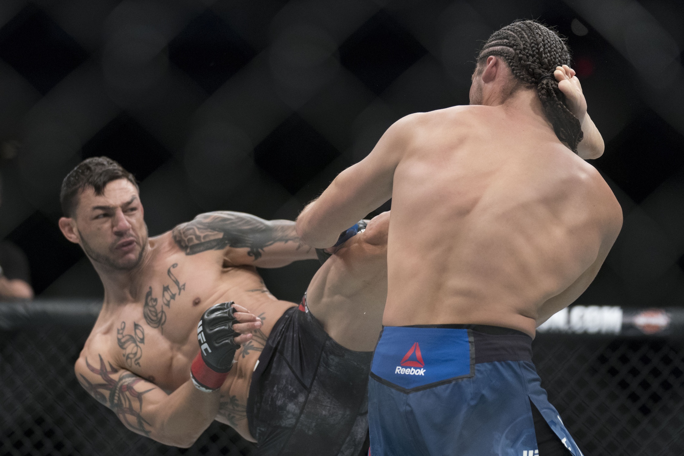 cub swanson kicks brian ortega