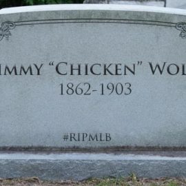 chicken wolf