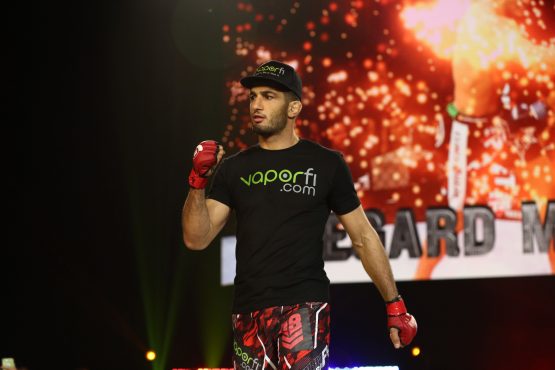 gegard mousasi bellator