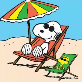 vacation