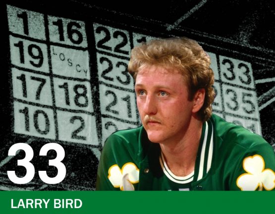 33 - Bird