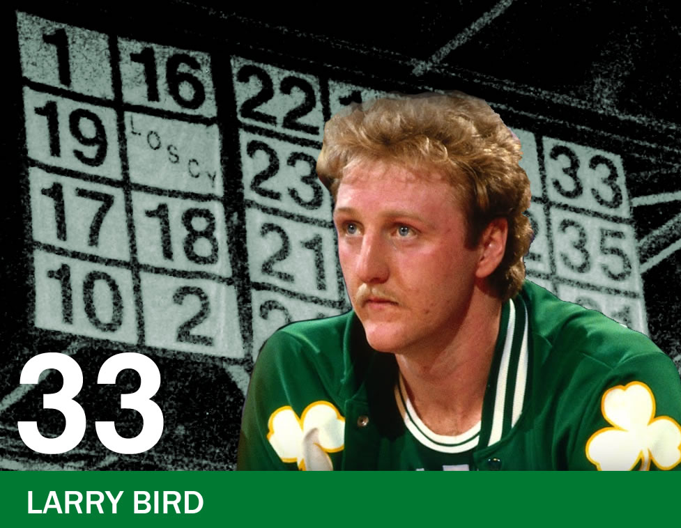 33 - Bird
