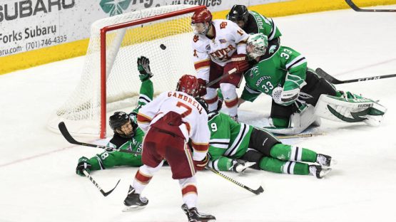 goalieinterference