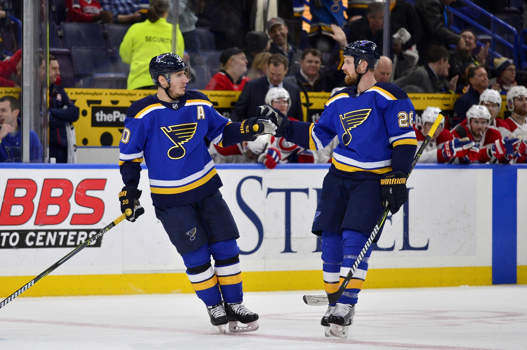 Steen and Brodziak