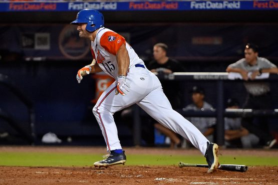 Minor League Baseball: Tampa Yankees at Port St. Lucie Mets