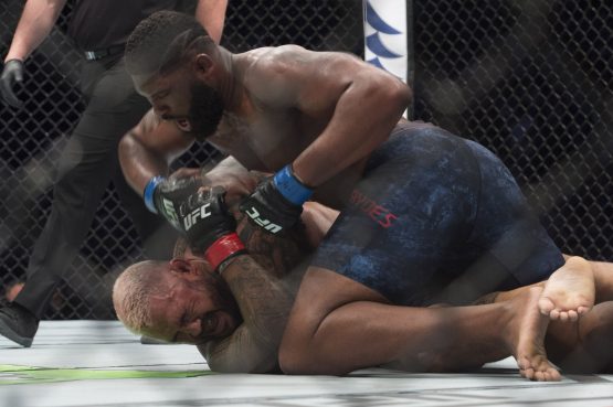 curtis blaydes ground & pounds mark hunt
