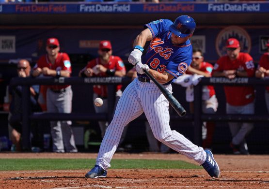 MLB: Spring Training-Washington Nationals at New York Mets