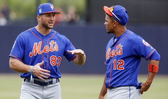 MLB: Spring Training-New York Mets at New York Yankees