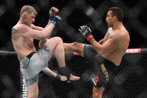 fabricio werdum vs alexander volkov