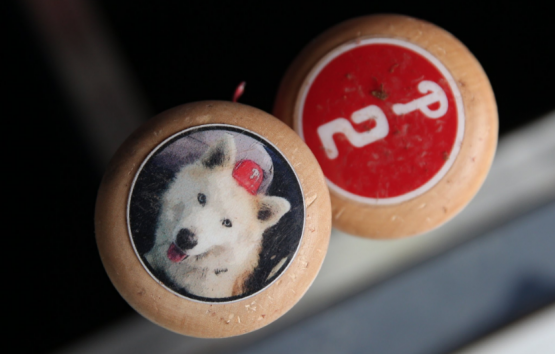 J.P. Crawford's good dog baseball bat