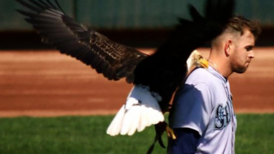 Screen Shot 2018-04-05 at 5.32.33 PM