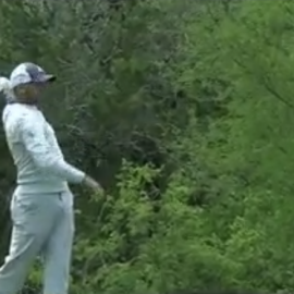 Screen Shot 2018-04-20 at 3.41.02 PM