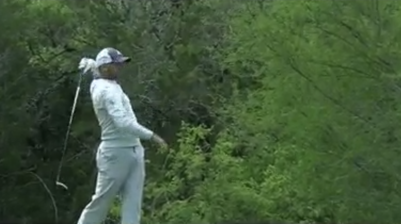 Screen Shot 2018-04-20 at 3.41.02 PM