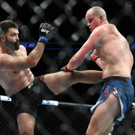 andrei arlovski kicks stefan struve
