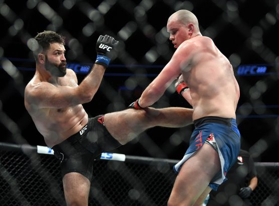 andrei arlovski kicks stefan struve