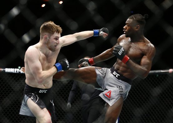 aljamain sterling