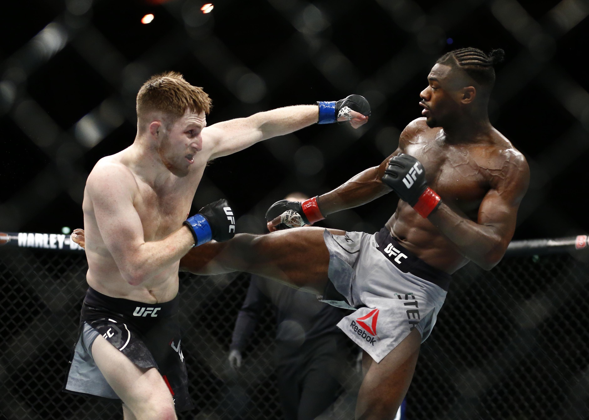 aljamain sterling