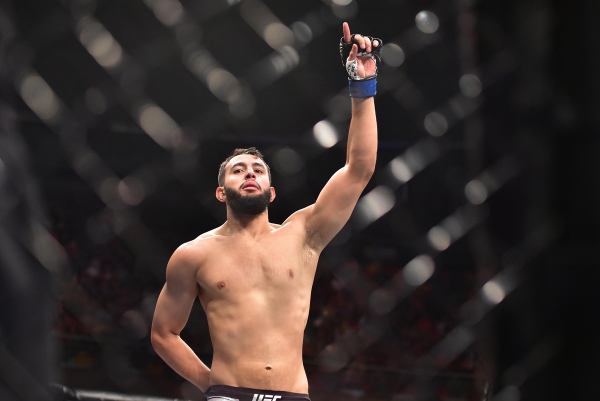 dominick reyes career earnings