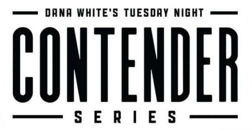dwtncs logo