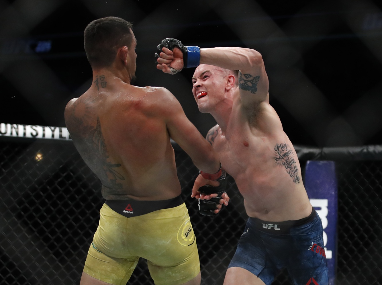colby covington rafael dos anjos