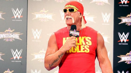 Hulk Hogan pic