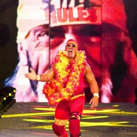 Hulk Hogan WWE