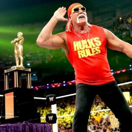 Hulk Hogan WWE Raw