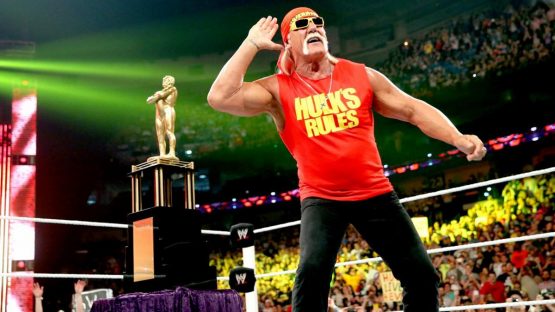 Hulk Hogan WWE Raw