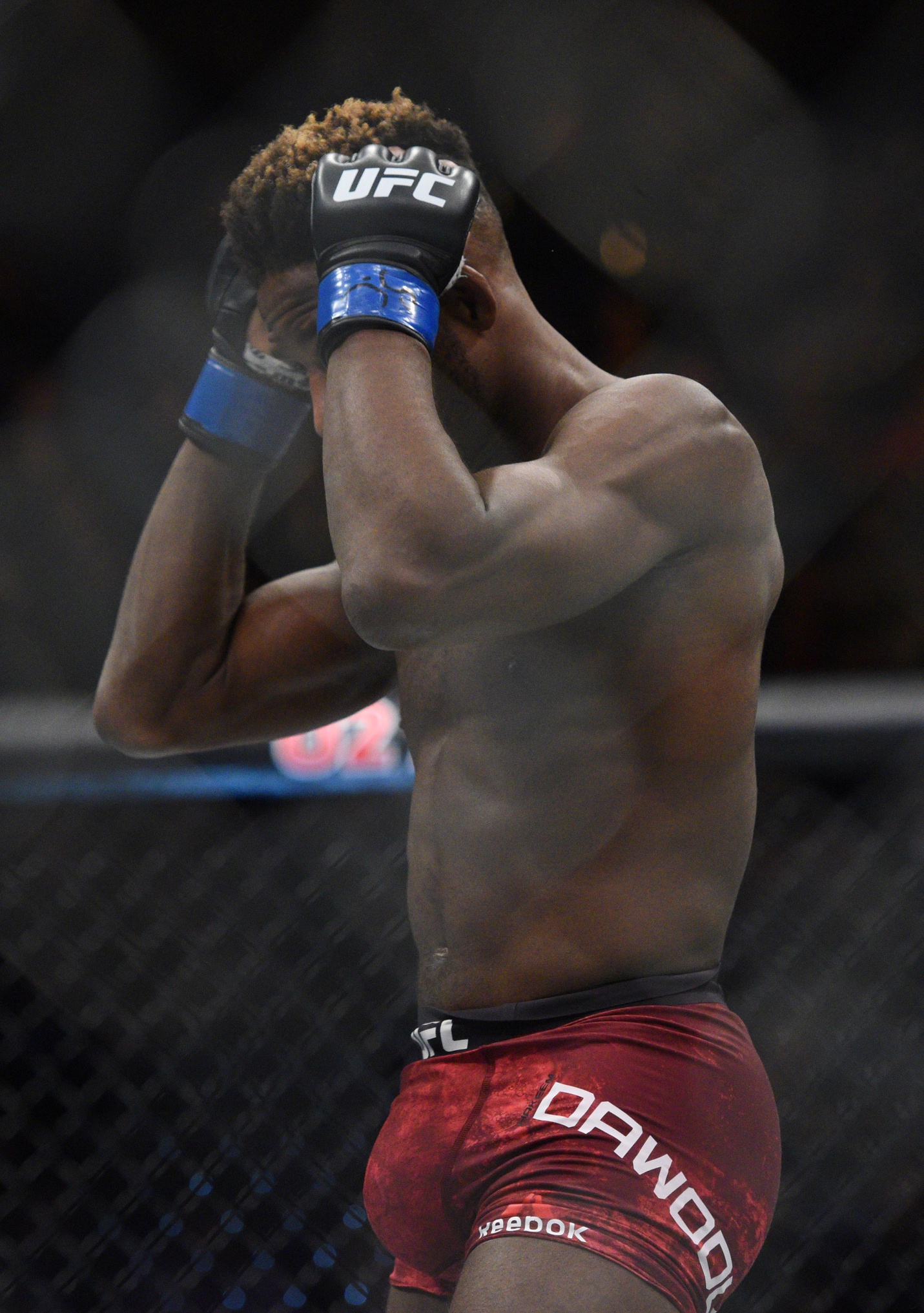hakeem dawodu