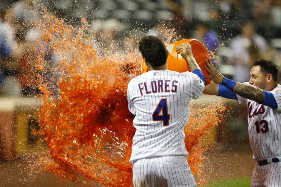 MLB: Tampa Bay Rays at New York Mets