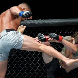 anthony pettis kicks michael chiesa