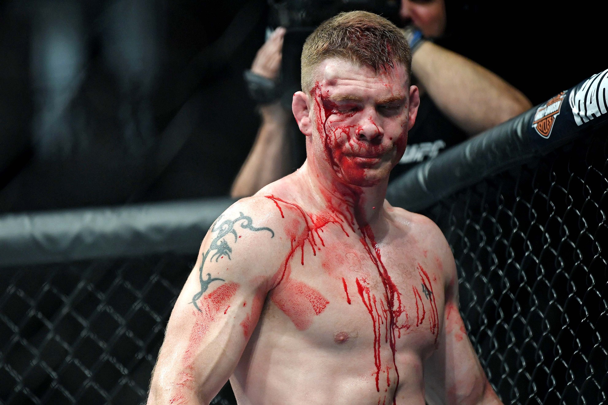paul felder career earnings