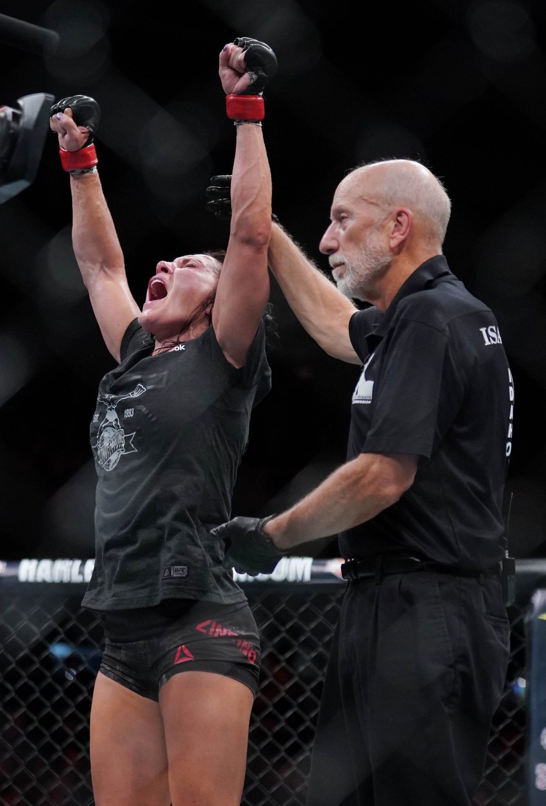 cat zingano