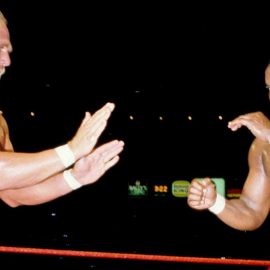 Hulk Hogan Mr. T