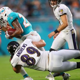 ravensdolphins