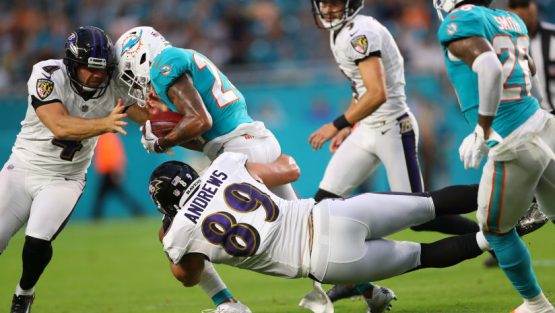 ravensdolphins