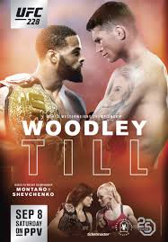 ufc 228